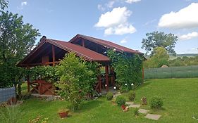 Nárcisz B&B