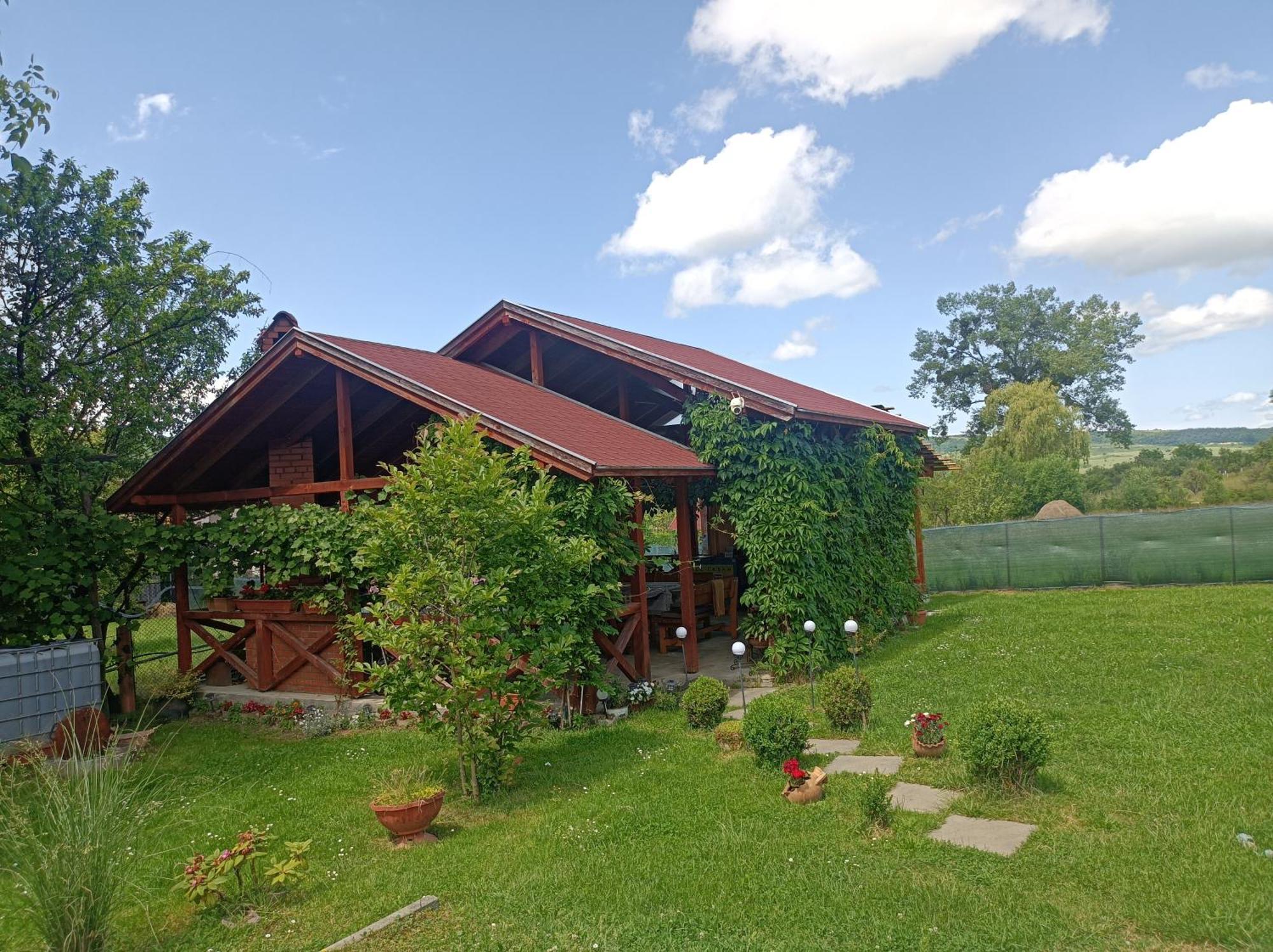 Nárcisz B&B Korond Kültér fotó