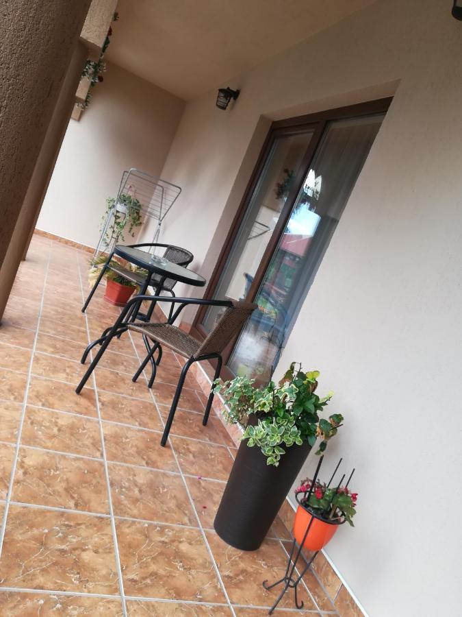 Nárcisz B&B Korond Kültér fotó